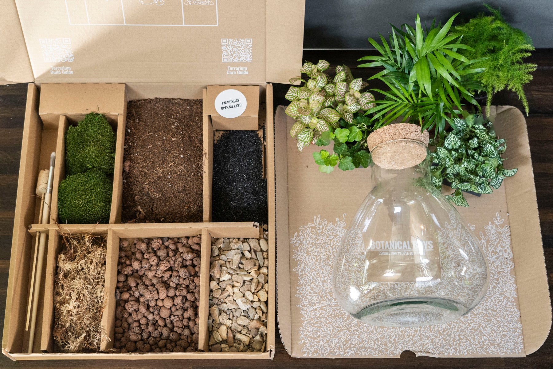 LAB Jar terrarium kit - Botanical Boys