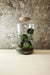 Tall Cork Jar Terrarium 40x23cm FR30