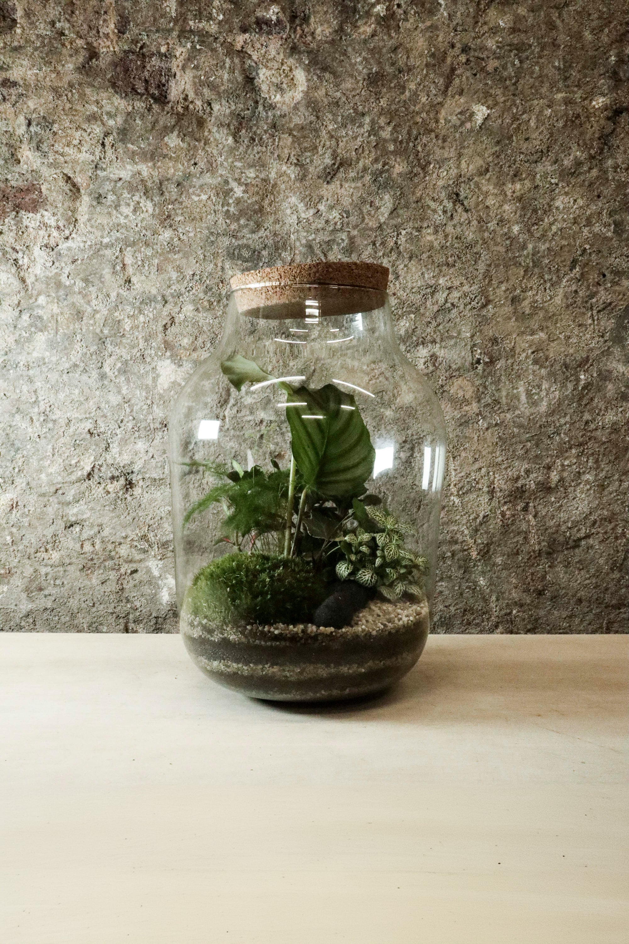 Contemporary Jar Terrarium 40x27cm FR32