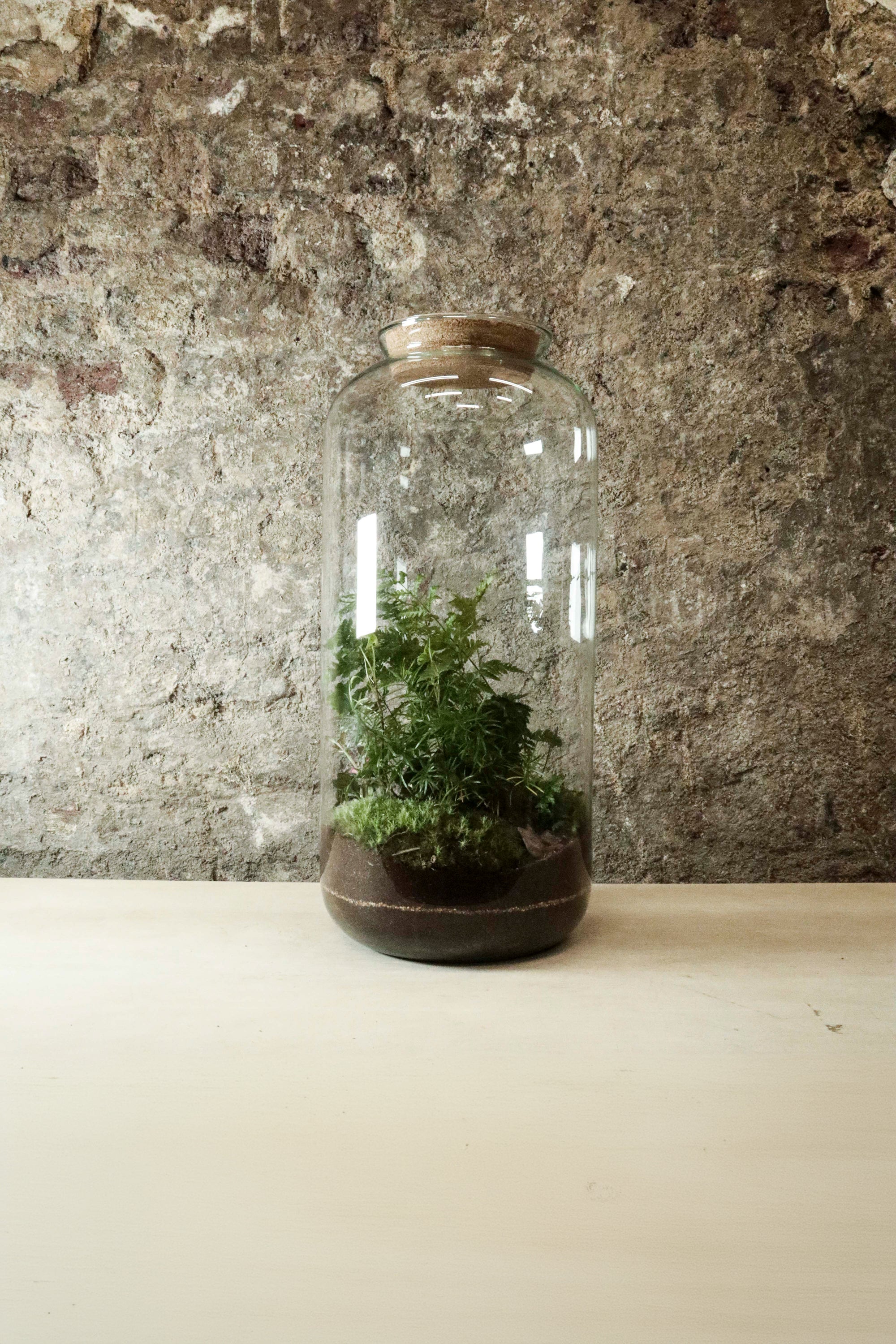 Tall Cork Jar Terrarium 50x23cm FR31