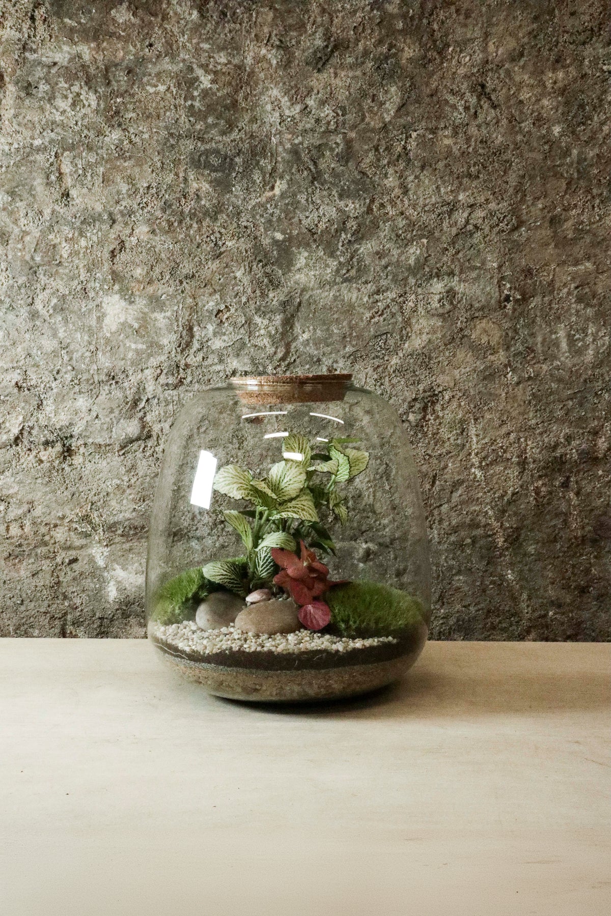 Bell Jar Terrarium 25x23cm FR29