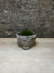 Antique Stone Mortar with Moss FR47