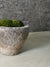 Antique Stone Mortar with Moss FR1