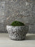Antique Stone Mortar with Moss FR3