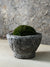 Antique Stone Mortar with Moss FR5