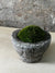 Antique Stone Mortar with Moss FR5