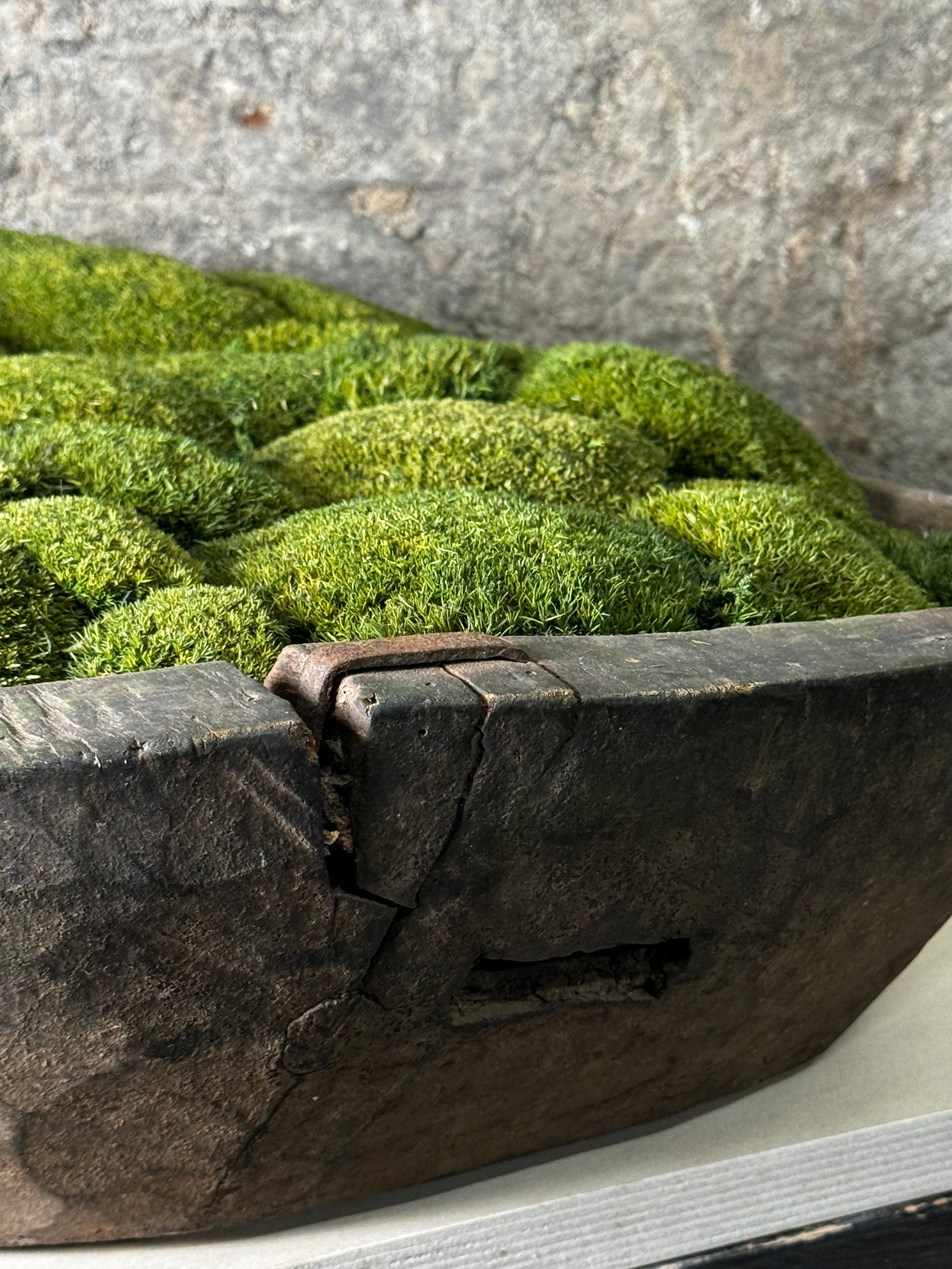 Vintage Wooden Bowl with moss FR6