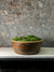 Vintage Ceramic Bowl with moss FR11