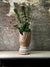 Vintage Grain Stomper planted with Zamioculcas Zamiifolia FR13