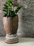 Vintage Grain Stomper planted with Zamioculcas Zamiifolia FR13