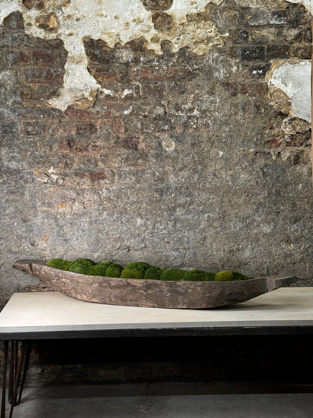 Mokoro Canoe with Preserved Moss Table Display FR25