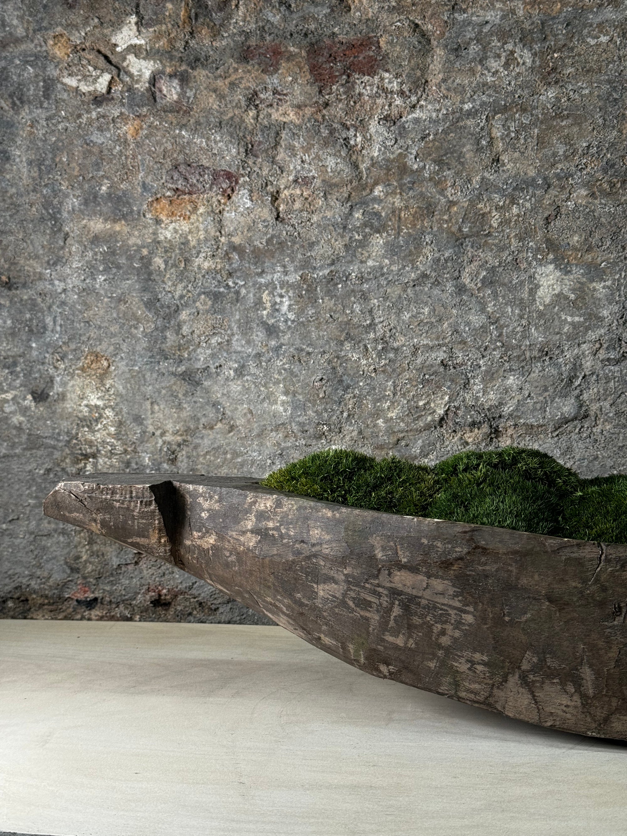 Mokoro Canoe with Preserved Moss Table Display FR15