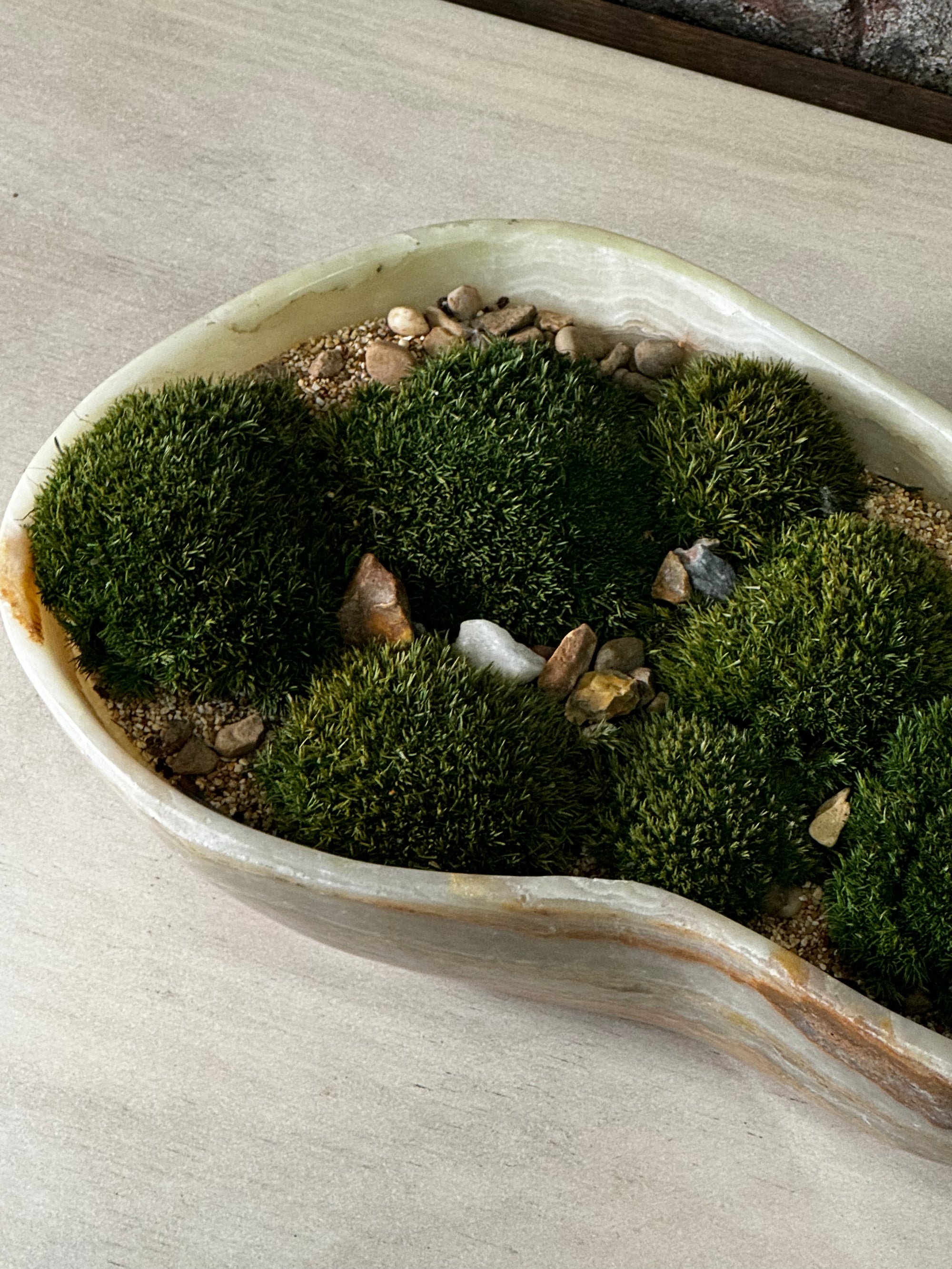 Premium Onyx Bowl with preserved moss FR16