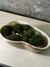 Premium Onyx Bowl with preserved moss FR16