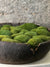 Vintage Wooden Round Bowl with preserved moss FR19