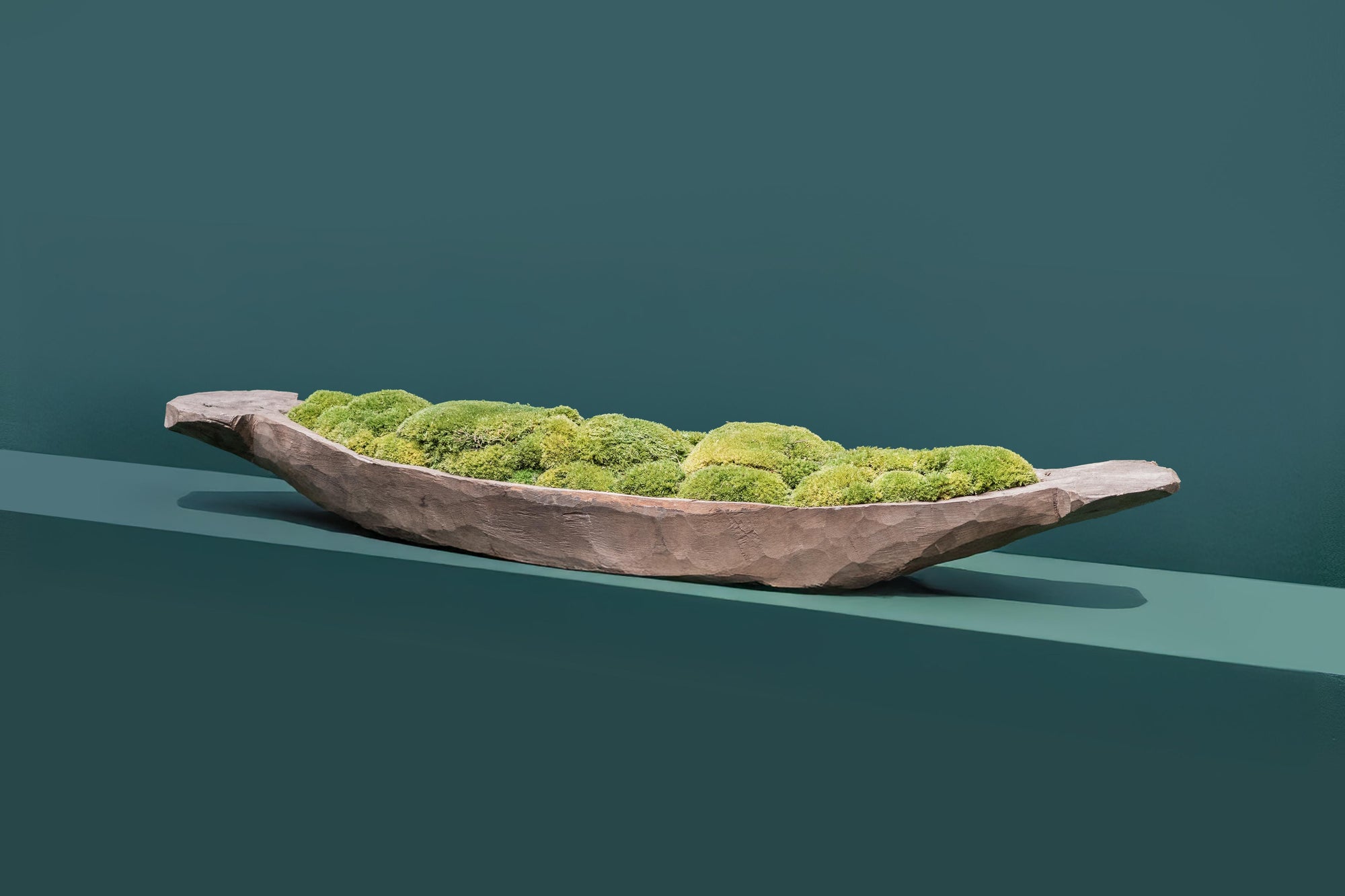 Mokoro Canoe with Preserved Moss Table Display FR57