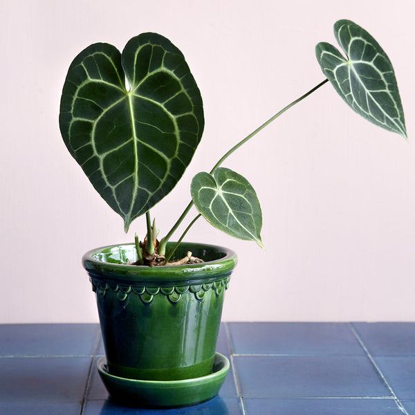 Fenton popular emerald green flower pot