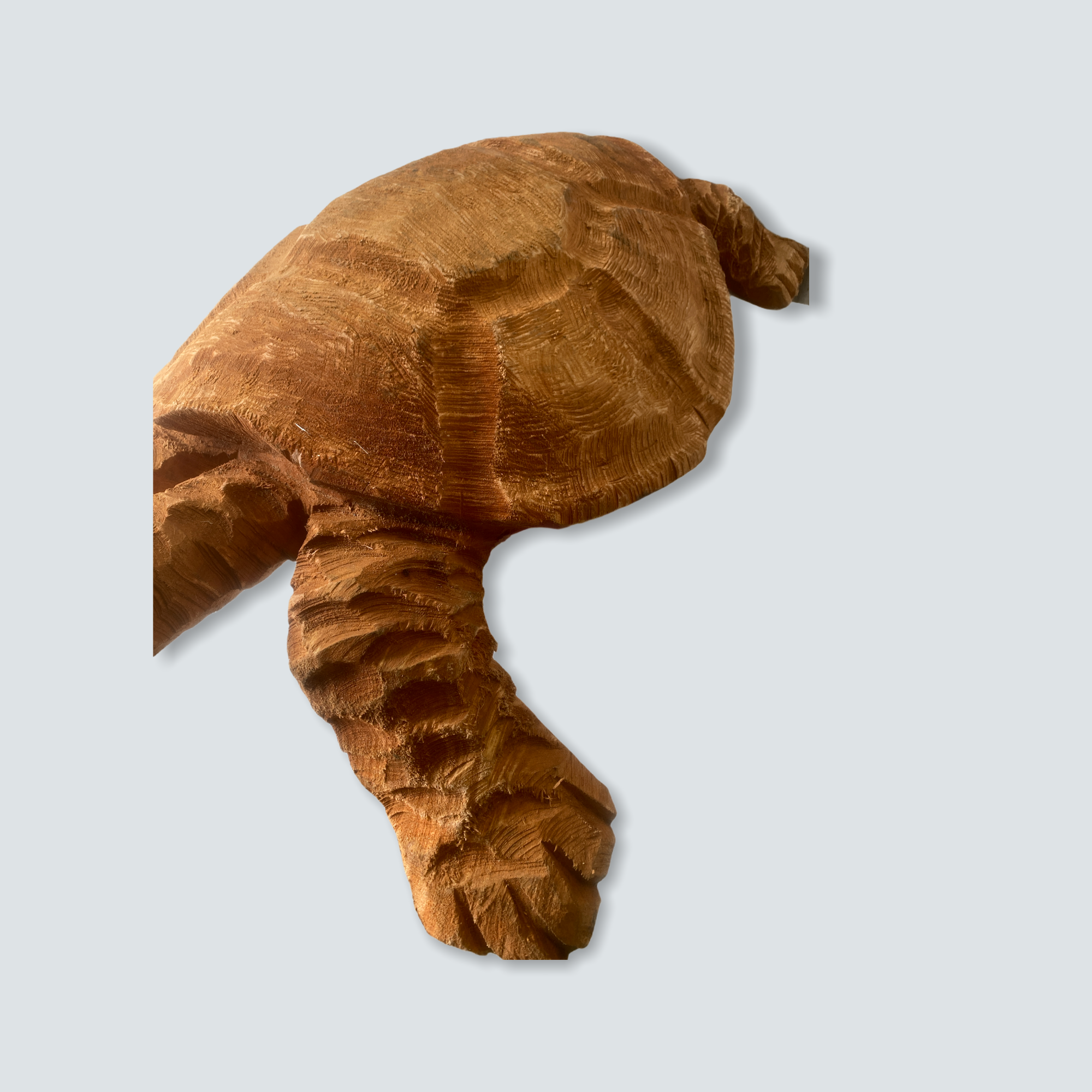 Mozambique hand carved Sea Turtle XL - (02)